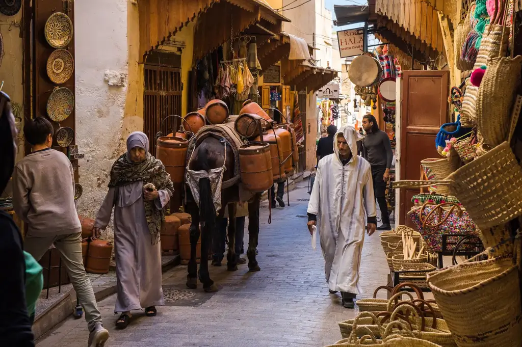 Fez Medina